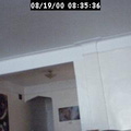 2000083536