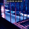 2000141831