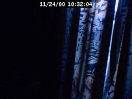 2000103204