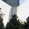 DSC03337