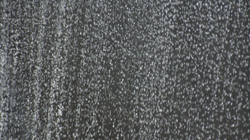 DSC03355
