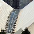 DSC03367