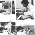 New-York-City-Community-College-Yearbook-1978-Page-034