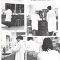 New-York-City-Community-College-Yearbook-1978-Page-052