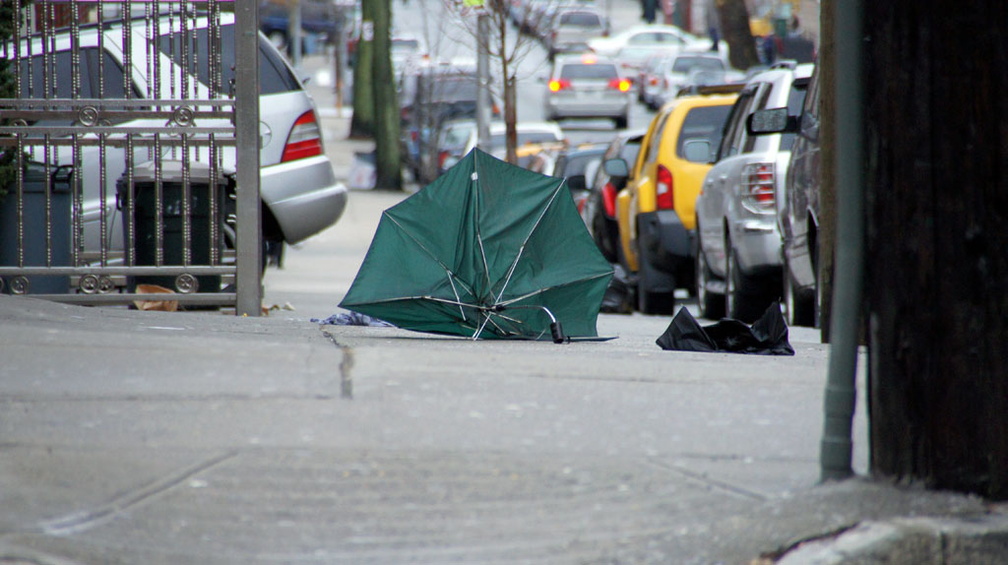 Discarded Umbrella Carcasses, NYC