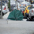 Discarded Umbrella Carcasses, NYC