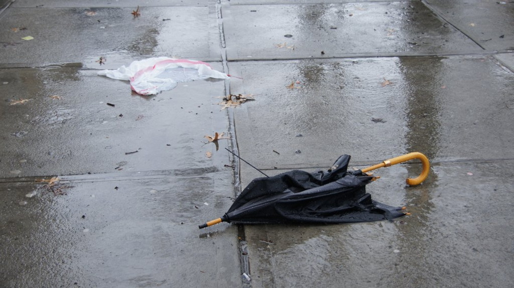 Discarded Umbrella Carcasses, NYC