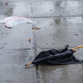 Discarded Umbrella Carcasses, NYC