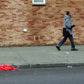 Discarded Umbrella Carcasses, NYC