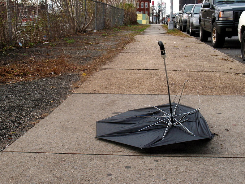 Discarded Umbrella Carcasses, NYC