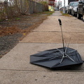 Discarded Umbrella Carcasses, NYC