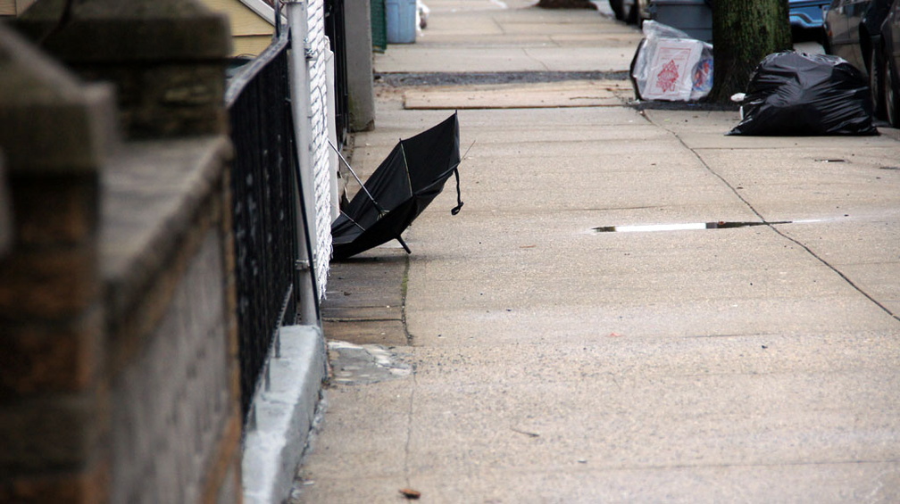 Discarded Umbrella Carcasses, NYC