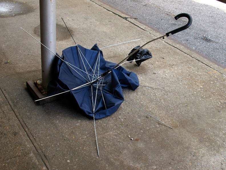 Discarded Umbrella Carcasses, NYC