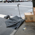 Discarded Umbrella Carcasses, NYC