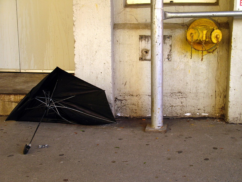 Discarded Umbrella Carcasses, NYC