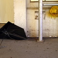 Discarded Umbrella Carcasses, NYC