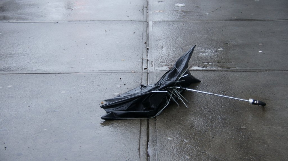 Discarded Umbrella Carcasses, NYC