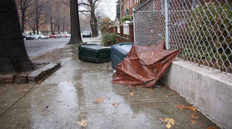 Discarded Umbrella Carcasses, NYC