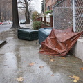 Discarded Umbrella Carcasses, NYC