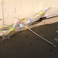 Discarded Umbrella Carcasses, NYC