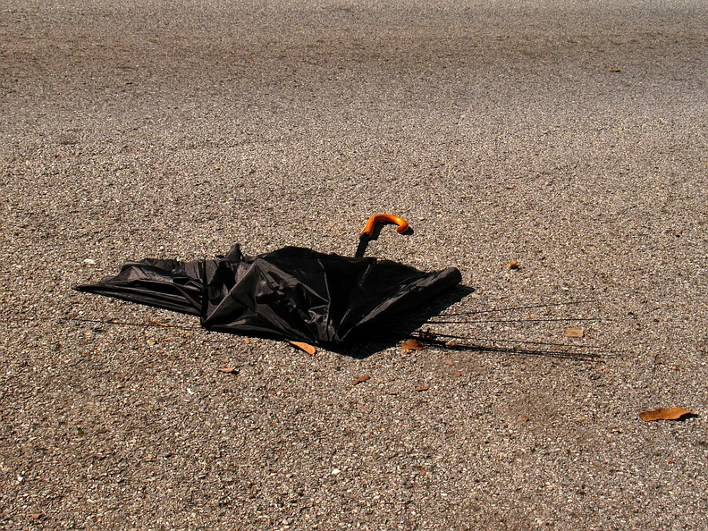 Discarded Umbrella Carcasses, NYC