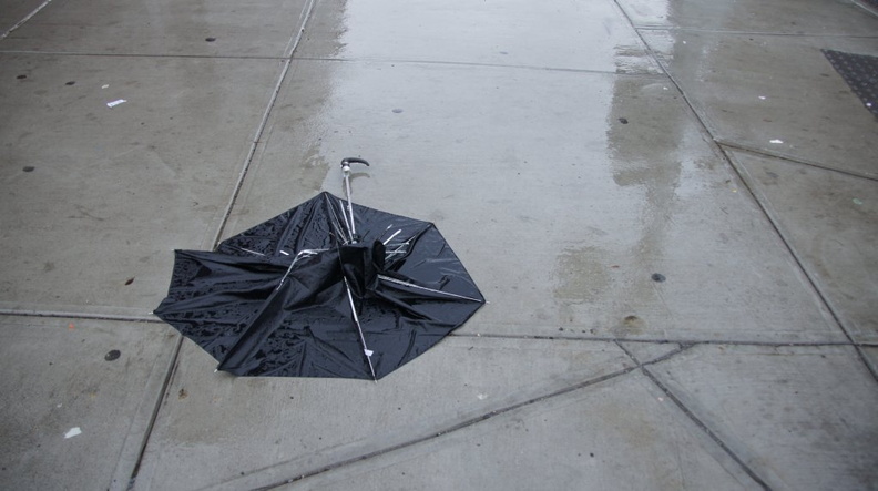 Discarded Umbrella Carcasses, NYC