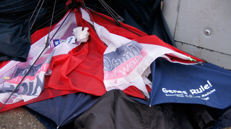 Discarded Umbrella Carcasses, NYC