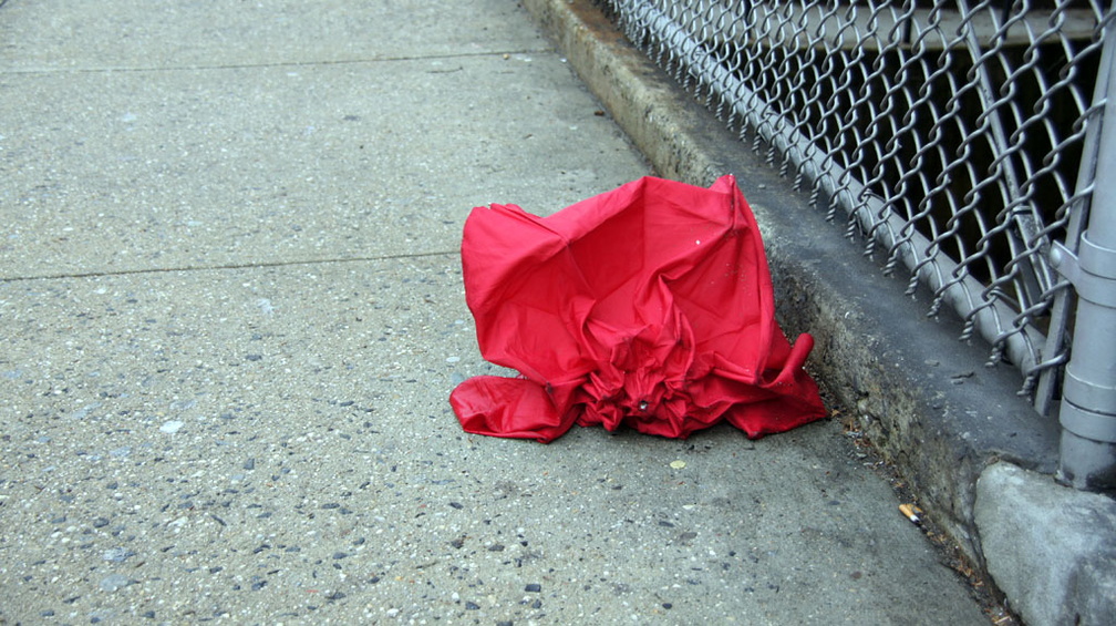 Discarded Umbrella Carcasses, NYC