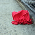 Discarded Umbrella Carcasses, NYC