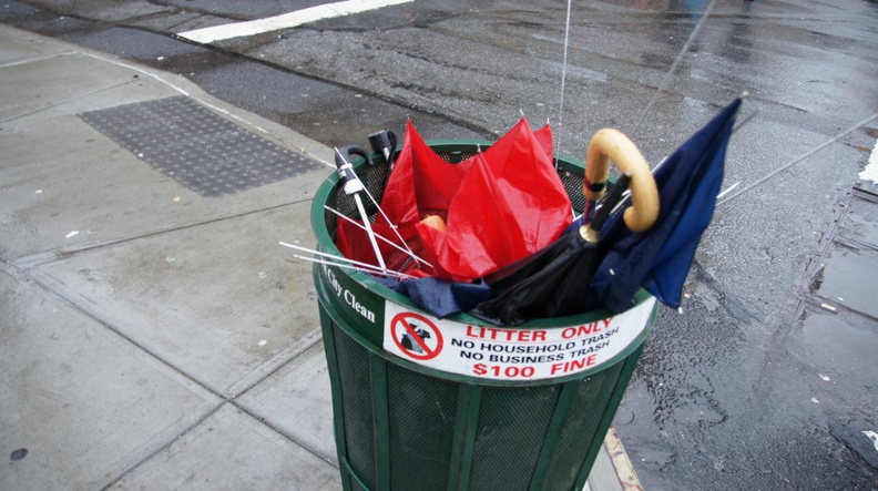 Discarded Umbrella Carcasses, NYC