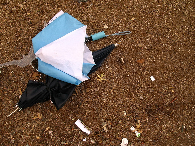 Discarded Umbrella Carcasses, NYC