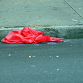 Discarded Umbrella Carcasses, NYC