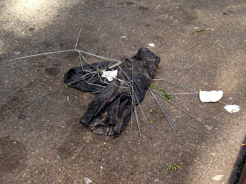 Discarded Umbrella Carcasses, NYC