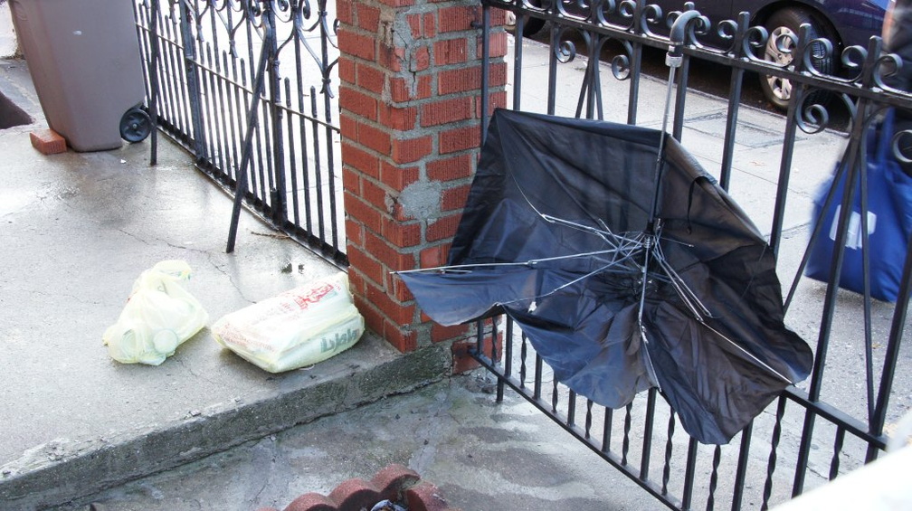 Discarded Umbrella Carcasses, NYC