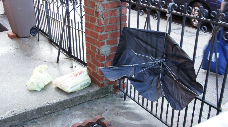 Discarded Umbrella Carcasses, NYC