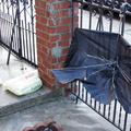 Discarded Umbrella Carcasses, NYC