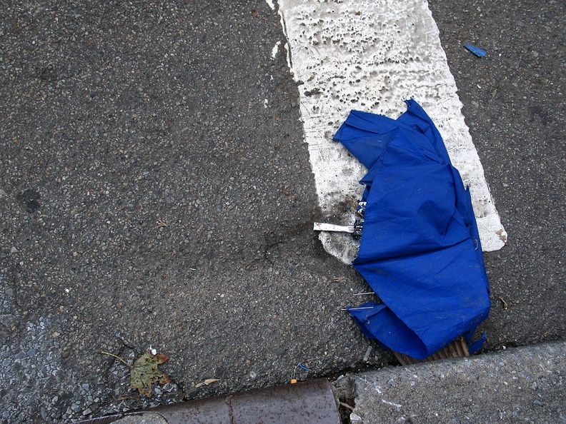 Discarded Umbrella Carcasses, NYC