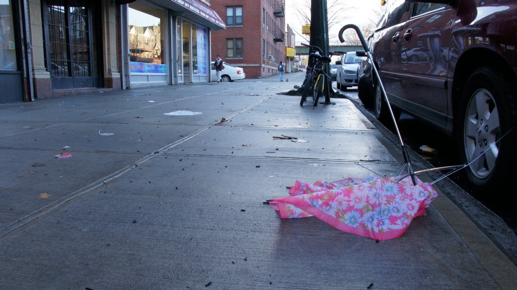 Discarded Umbrella Carcasses, NYC