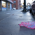 Discarded Umbrella Carcasses, NYC