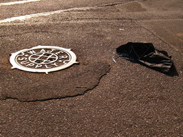 Discarded Umbrella Carcasses, NYC