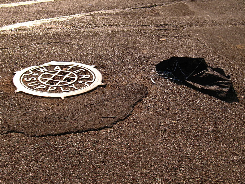 Discarded Umbrella Carcasses, NYC