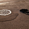 Discarded Umbrella Carcasses, NYC