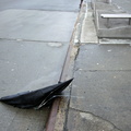 Discarded Umbrella Carcasses, NYC