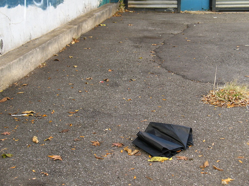 Discarded Umbrella Carcasses, NYC