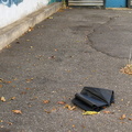 Discarded Umbrella Carcasses, NYC