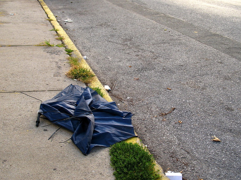 Discarded Umbrella Carcasses, NYC