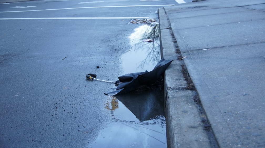 Discarded Umbrella Carcasses, NYC