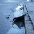 Discarded Umbrella Carcasses, NYC