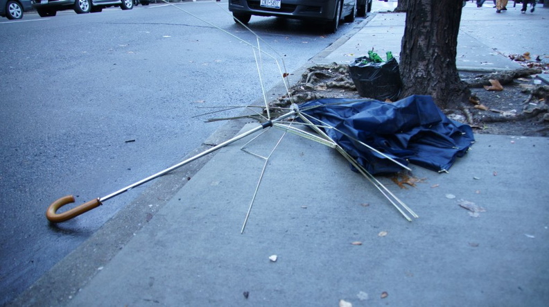 Discarded Umbrella Carcasses, NYC