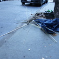 Discarded Umbrella Carcasses, NYC